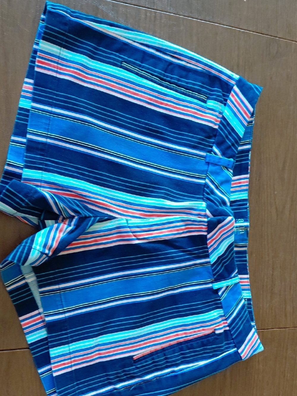 Blue Multi-Stripe Cotton Shorts